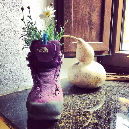 Rosalia / Pilgrim 호스텔