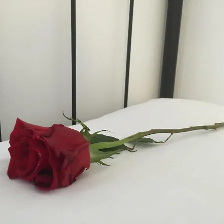 Rosalia / Pilgrim * Castrojeriz
