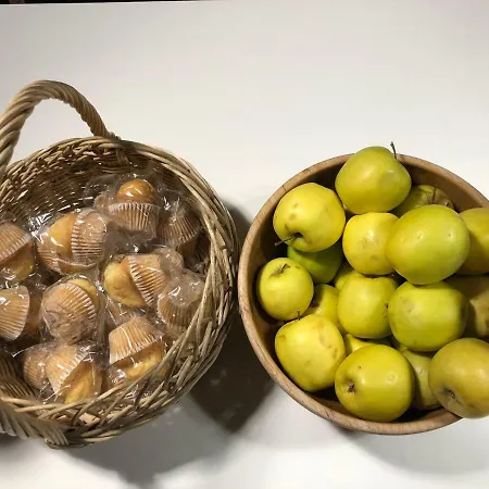 호스텔 Rosalia / Pilgrim