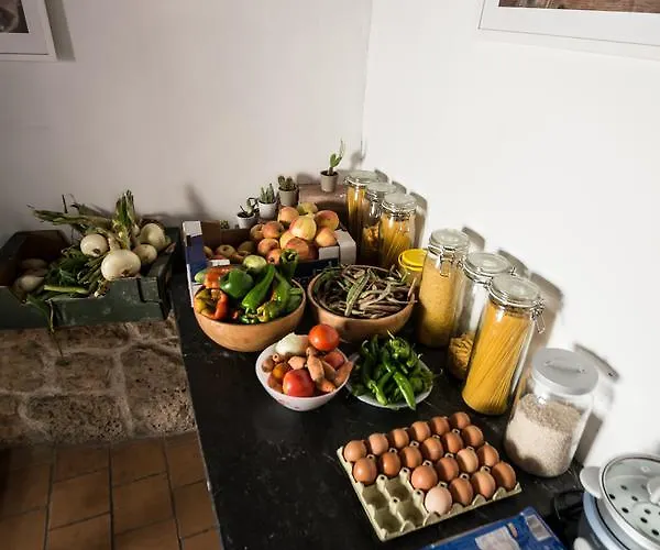 Rosalia / Pilgrim 호스텔 카스트로헤리츠