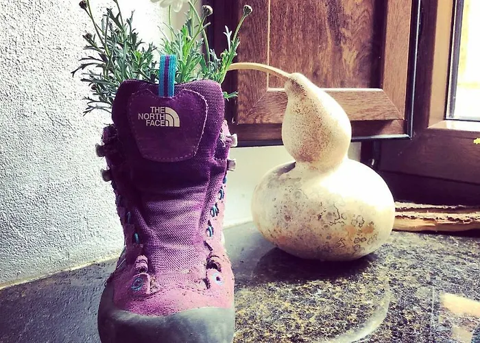 Rosalia / Pilgrim 호스텔