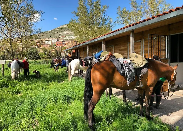 Rosalia / Pilgrim Hostel